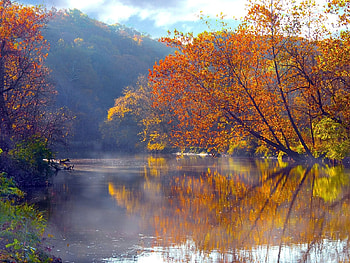 Landscape, Water, Trees, Autumn, Lakes HD wallpaper