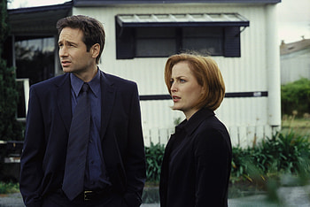 Dana Scully, Gillian Anderson, The X Files, Tv Show, David Duchovny, Fox Mulder HD wallpaper