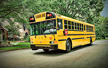 IC Bus RE School Bus, R, street, 2010 busus, passenger transport, school bus, USA HD wallpaper