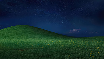 Bliss Windows Xp Remastered 2025 , windows-xp, windows, computer HD wallpaper