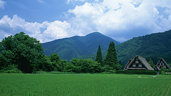 rice fields landscape in japan, landscape, trees, fields, houses, mountains, rice HD wallpaper