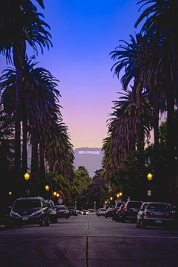 Hollywood Sign, Hollywoodland, graphy by Cesar Sanchez, California charm HD phone wallpaper