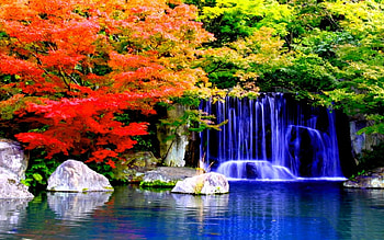 Cascading Down, fall, spurt, rocks, spill, flow, waterfall, trees, autumn, nature, forest, stream HD wallpaper