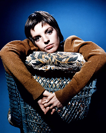 Liza Minnelli, Living legend, Multi-talented performer, Timeless beauty HD phone wallpaper