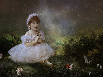 Sweet Fairytale, sweet, bird, girl, beautiful, grass, stars, rocks, butterfly, flowers, sky HD wallpaper
