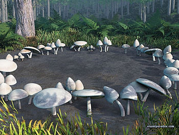 fairyring, a mushroom ring HD wallpaper