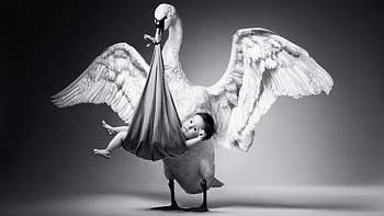 New born, wings, white, feahter, black, bird, bw, baby, copil, funny, swan, child HD wallpaper