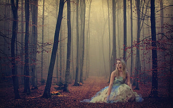 Forest, trees, fog, woman HD wallpaper