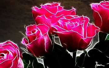 Plants, Flowers, Background, Roses HD wallpaper