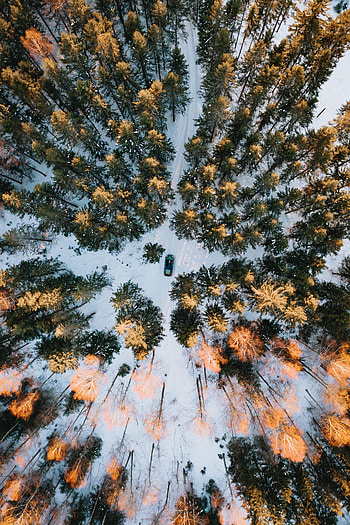 Winter, Nature, Snow, View From Above, Forest, Car HD phone wallpaper