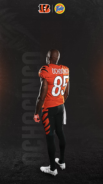 Cincinnati Bengals, Sports HD phone wallpaper