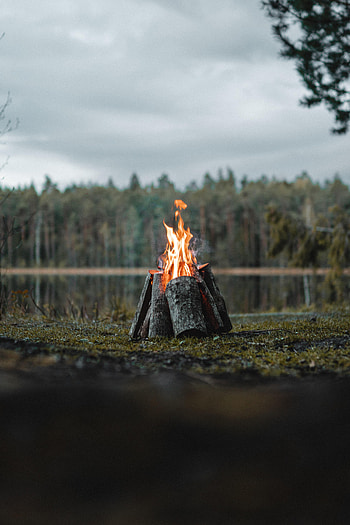 Fire, Bonfire, Flame, Miscellanea, Miscellaneous, Forest, Logs HD phone wallpaper