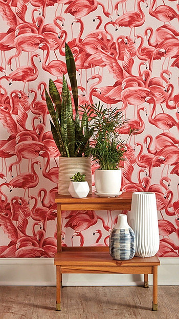 Peel And Stick Amazon, Flamingo Background, peel and stick amazon HD phone wallpaper