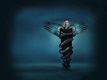 Snakes on a MAN, wings, doctor, snakes, house HD wallpaper