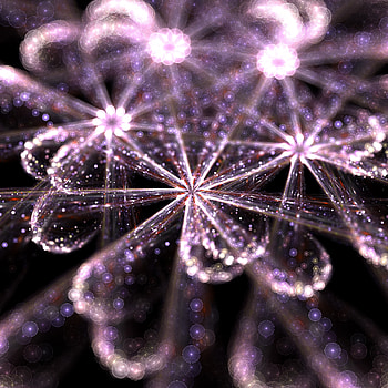 Floral, pattern, glitter HD phone wallpaper