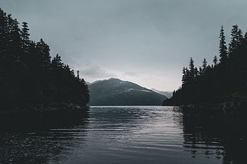 Nature, Rivers, Trees, Mountains, Shore, Bank, Dark HD wallpaper