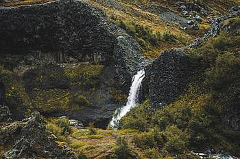 Plants, Nature, Water, Stones, Rocks, Waterfall HD wallpaper