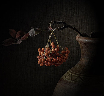 Dark Earth, berries, dark, musty, jug, still life, leaves, red, moutain ash, twigs, earthen ware HD wallpaper