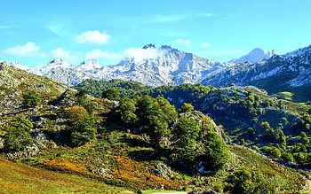 Nature, Grass, Mountains, Summer, Handsomely, It's Beautiful, Mountain Landscape HD wallpaper