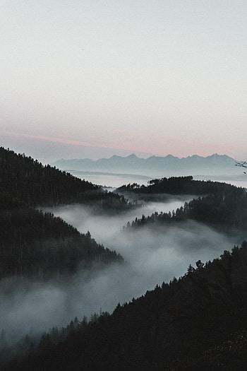 Nature, Mountains, Twilight, View From Above, Forest, Fog, Dusk HD phone wallpaper