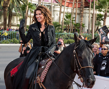Cowgirl Shania Twain, Shania Twain, fun, famous, cowgirls, horses, westerns, girls, women, female HD wallpaper