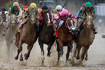 Maximum security, Disqualified, New York Times HD wallpaper