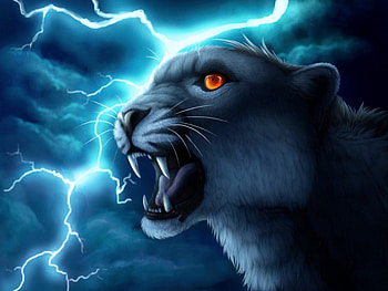 Fire in the eyes, blue, animal, magic, color, cat, beautiful, fire, eye, warrior HD wallpaper