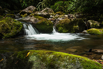 Plants, Water, Nature, Stones, Waterfall, Moss HD wallpaper