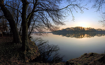 Landscape, Nature, Trees, Lake, Reflection, Shore, Bank, Fog, Evening, Silence, Shrubs HD wallpaper