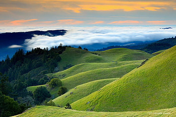Rolling Hills, rolling, hills, green, clouds, trees, sky HD wallpaper