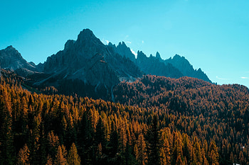 Nature, Trees, Autumn, View From Above, Mountain, Shadows HD wallpaper