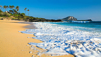 Hawaii , Tropical vibes, Exotic paradise, Island beauty HD wallpaper