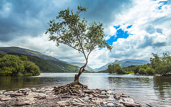 Snowdonia National Park, scene, water, lake, snowdonia, tree HD wallpaper