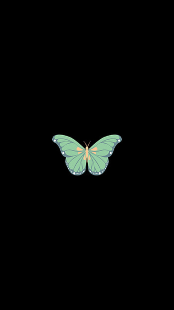 Art, Vector, Minimalism, Butterfly HD phone wallpaper