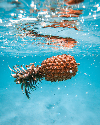 Water, Food, Bubbles, Fruit, Tropical, Pineapple HD phone wallpaper
