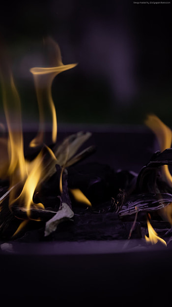 ... ogon 7 fire flame macro bonfire ... HD phone wallpaper