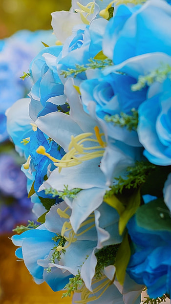 Blue Rose, Roses, Flowers Background, flowers, background HD phone wallpaper