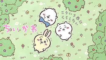 Chiikawa Anime Characters, Anime, Chiikawa HD wallpaper