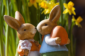 Holidays, Flowers, Easter Bunny, Hares HD wallpaper