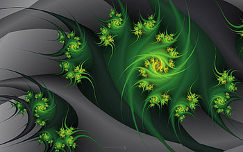 Abstract, Flowers, Plant, Fractal, Grey, Embrace HD wallpaper