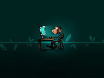 Computer Coding , Funny Coding HD wallpaper