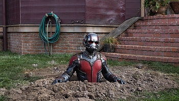 Paul Rudd, Movies, Ant-Man and the Wasp, movies HD wallpaper