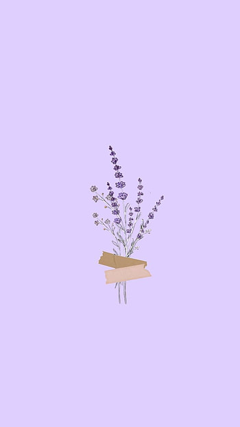 Lavender Blue wallaper. Simple , Purple , Pretty wallp in 2022. Purple flowers , Simple , Purple , Cute Simple Purple HD phone wallpaper
