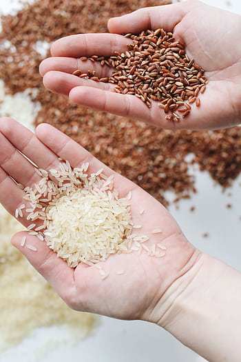 Hands holding red and white rice varieties, showcasing raw grains. HD phone wallpaper