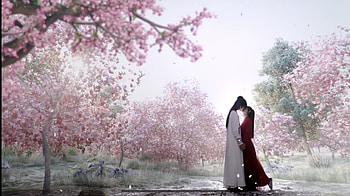 Legend of fei, love, chinese HD wallpaper
