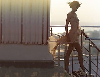 Sexy legs, sexy, woman, legs, feminity HD wallpaper