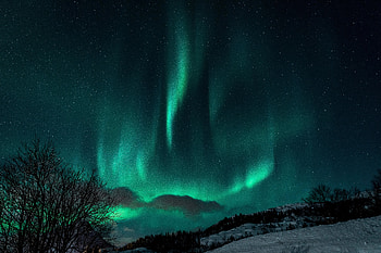Winter, Nature, Night, Snow, Dark, Northern Lights, Aurora Borealis HD wallpaper