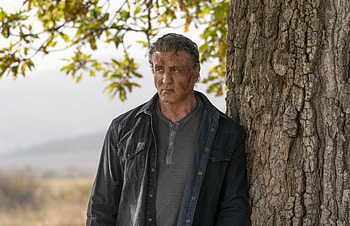 Grudge Match, Sylvester Stallone HD wallpaper