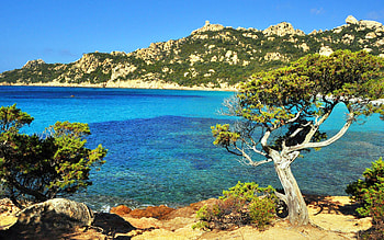 Corsica beach , Serene landscapes, Tranquil shores, Beach paradise HD wallpaper