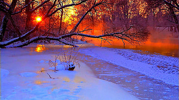 Winter Sunset, river, snow, trees, colors, forest, sun, ice HD wallpaper